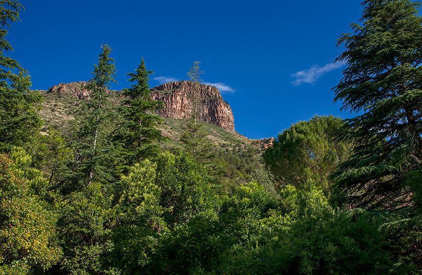 Briar Patch Inn Sedona Exterior foto
